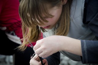 gumbi razglednice 18